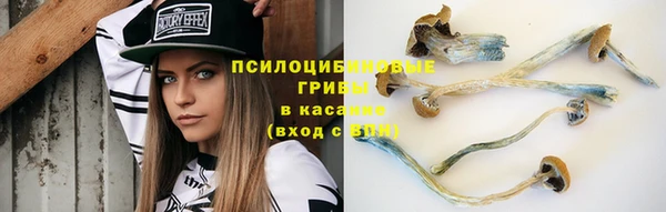 шишки Алексин