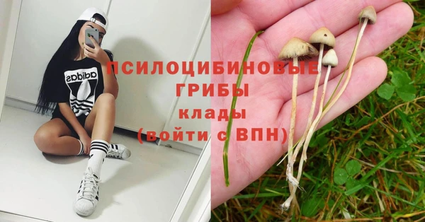 шишки Алексин