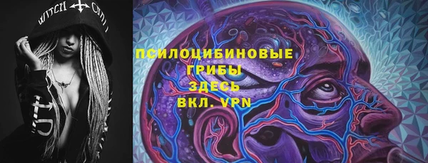 шишки Алексин